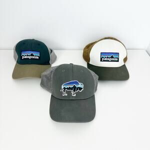 Patagonia P-6 Logo & Fitz Roy Buffalo LoPro Mesh Trucker Hats Lot Of 3